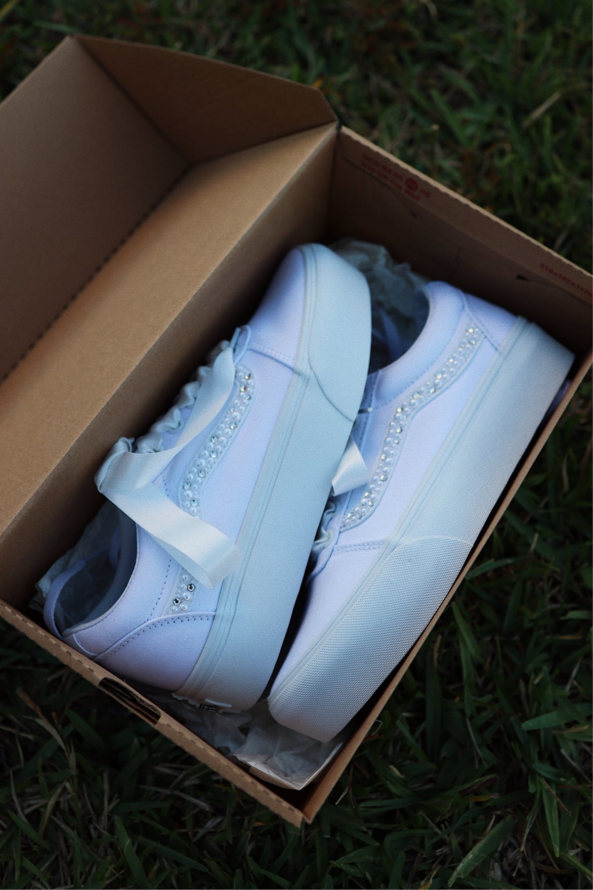 Canvas Skate Sneaker Platform Mix
